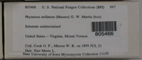 Image Associated With the Occurence